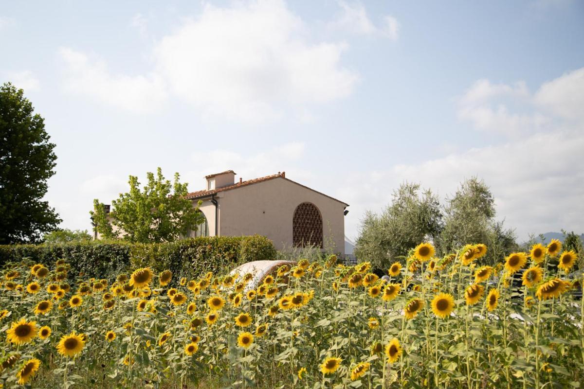 Locanda Sant'Agata San Giuliano Terme Exterior photo